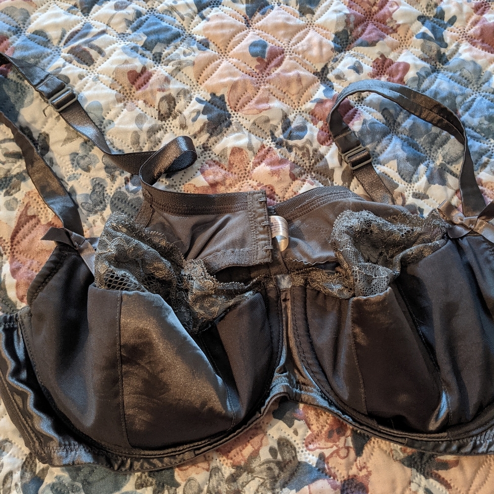 Cacique 42D Bra